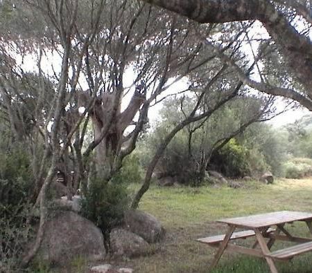 Les Bergeries D'Ogliastrello Villa Figari  Dış mekan fotoğraf