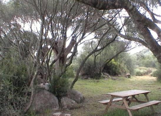 Les Bergeries D'Ogliastrello Villa Figari  Dış mekan fotoğraf